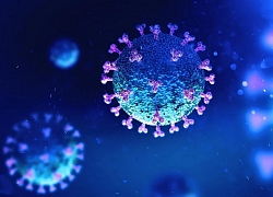 Covid-19: Giới khoa học Nga thừa nhận giải mã nhầm bộ gene của virus corona