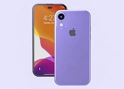 Lộ thêm bằng chứng cho thấy iPhone 9 và iPhone 9 Plus đã cận kề ra mắt