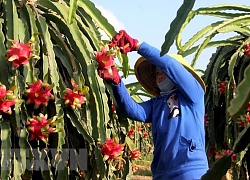 Ngân hàng đồng hành cùng người yếu thế, lao động gặp khó khăn do dịch