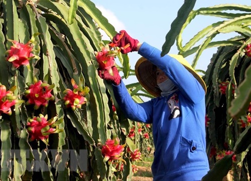 Ngân hàng đồng hành cùng người yếu thế, lao động gặp khó khăn do dịch