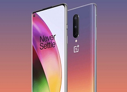 OnePlus 8 có màn hình xịn nhất thị trường?