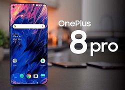 OnePlus 8 Pro sẽ là smartphone có màn hình đẹp nhất