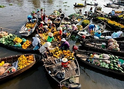 Quang cảnh khu chợ nổi hút khách bậc nhất Việt Nam