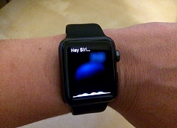 Spotify cập nhật hỗ trợ Siri trên Apple Watch