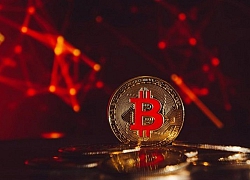 Thị trường đỏ rực, Bitcoin sụt giảm