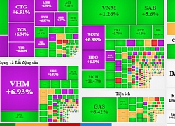 Thị trường ngập sắc tím, VN-Index xác lập phiên tăng kỷ lục kể từ năm 2001