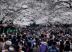 Tokyo nguy cơ thành &#8216;New York thứ hai&#8217; vì chủ quan với nCoV