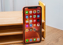 Vẫn đang cực hot ở nước ngoài, mẫu iPhone này có còn "đáng tiền" ở Việt Nam?