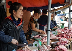 Vì sao lợn hơi xuống 70.000 đồng/kg, giá thịt bán ra vẫn cao?