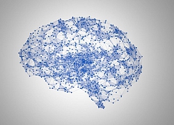 Các nhà khoa học phát triển AI có thể biến hoạt động não thành văn bản
