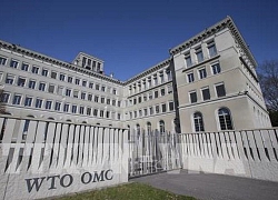 COVID-19: WTO hy vọng thương mại thế giới hồi phục trong năm 2021