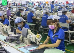 EuroCham: 80% công ty cho nhân viên làm việc tại nhà để phòng lây lan Covid-19