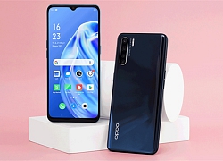 Đây là những smartphone giá mềm, nhưng lại sở hữu tính năng đỉnh nhất