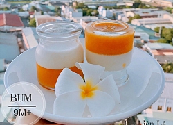 Làm pudding xoài mềm thơm hấp dẫn, người lớn trẻ nhỏ ăn đều mê