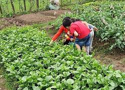 Mẹ bày trò chơi giúp hai con nghỉ dịch không thấy chán