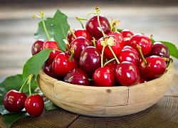 Nước ép cherry giúp điều trị bệnh gout