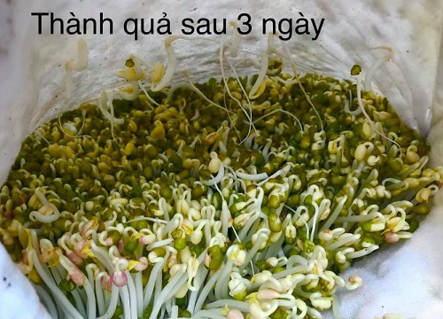 Ở nhà dài ngày, mẹ đảm Hà Nội mách cách làm giá tại nhà vừa nhanh vừa đảm bảo chất lượng chỉ với một ít đỗ và các dụng cụ đơn giản trong nhà bếp