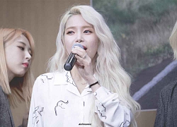 Solar (MAMAMOO) thẳng tay chỉ trích fan bán chiếc túi do cô thiết kế