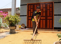 Trường làm sai, giáo viên về vườn