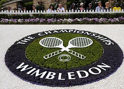 Wimbledon nhận khoản bồi thường 114 triệu bảng do Covid-19