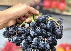 8 loại trái cây tốt cho bệnh nhân xơ gan