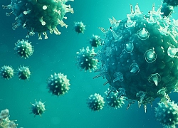 Bạn có tin virus cũng bị... nhiễm virus? Chuyện tưởng vô lý nhưng có thật và đây là lý do