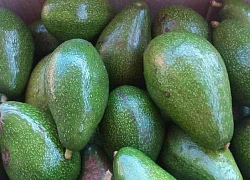 Bơ sáp Gia Lai giá 35 ngàn đồng/kg bán đầy chợ mạng: Bà nội trợ chọn theo mẹo sau để 10 quả thơm ngậy, vàng ruột như 10