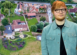 Ed Sheeran nuôi gà, trồng rau