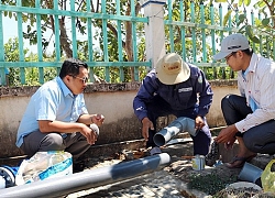 Hỗ trợ người dân khắc phục hậu quả hạn hán, xâm nhập mặn