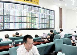 Hơn 32.000 tài khoản chứng khoán được mở mới