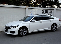 Honda Accord 'đội sổ' phân khúc xe hạng D tại Việt Nam