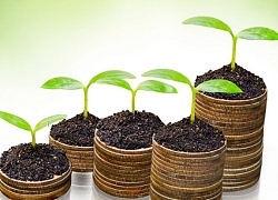 Lịch chốt quyền nhận cổ tức bằng tiền của 9 doanh nghiệp
