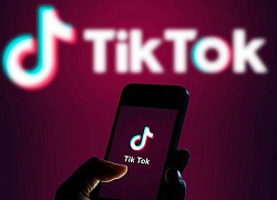 Người dùng "phát sốt" với TikTok trong mùa dịch COVID-19
