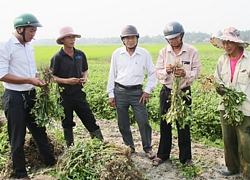 Sau 10 năm, Quế Xuân 1 văn minh, đổi thay toàn diện