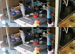 Sẽ xử án điểm vụ con dâu ngược đãi, hành hạ mẹ chồng 88 tuổi