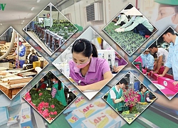 Tăng độ đàn hồi cho "lò xo" kinh tế