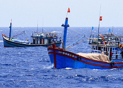 Thượng nghị sĩ Mỹ lên án Trung Quốc đâm chìm tàu cá Việt Nam