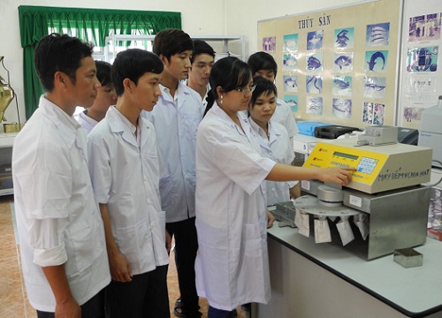 Ươm mầm tuổi trẻ khởi nghiệp