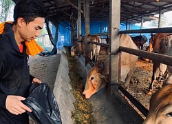 'Vua phá lưới' U23 châu Á chăn bò, 'vua áo đen' bán khoai lang, HLV làm ruộng vì hoãn bóng đá
