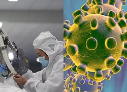 Các nhà khoa học tìm ra điểm yếu dễ tiêu diệt của virus corona