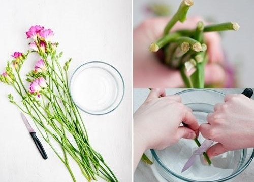 Cắm hoa tươi lâu với những mẹo đơn giản