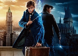 'Fantastic Beasts 3' sẽ có rất nhiều cảnh đánh nhau hoành tráng, không thua kém Harry Potter