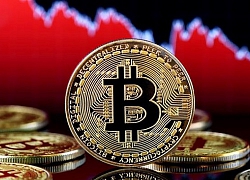 Giá bitcoin hôm nay 13/4: Tiếp tục giảm mạnh 2,41% so với 24h trước