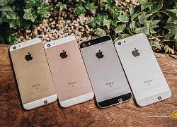 iPhone SE mới 399 USD vừa ra mắt theo cách chưa từng có