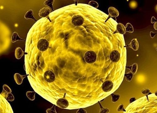 Nhật Bản phát hiện loại thuốc có thể ngăn virus corona sinh sôi nhân bản