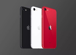 101 lý do để mua iPhone SE 2020 ngay lúc này