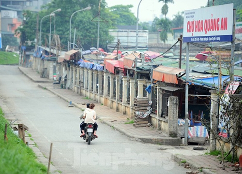 Chợ hoa lớn nhất Hà Nội đóng cửa chuyển sang bán hàng trực tuyến