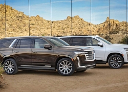 'Chuyên cơ mặt đất' Cadillac Escalade 2021 chốt giá bán