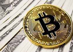 Giá bitcoin hôm nay 17/4: Tăng vọt, trải thảm xanh 100 đồng tiền ảo