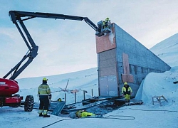 Hầm hạt giống Svalbard cán đích 1 triệu mẫu